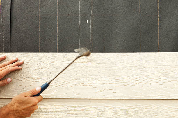 Best Fiber Cement Siding Installation  in Ash Grove, MO